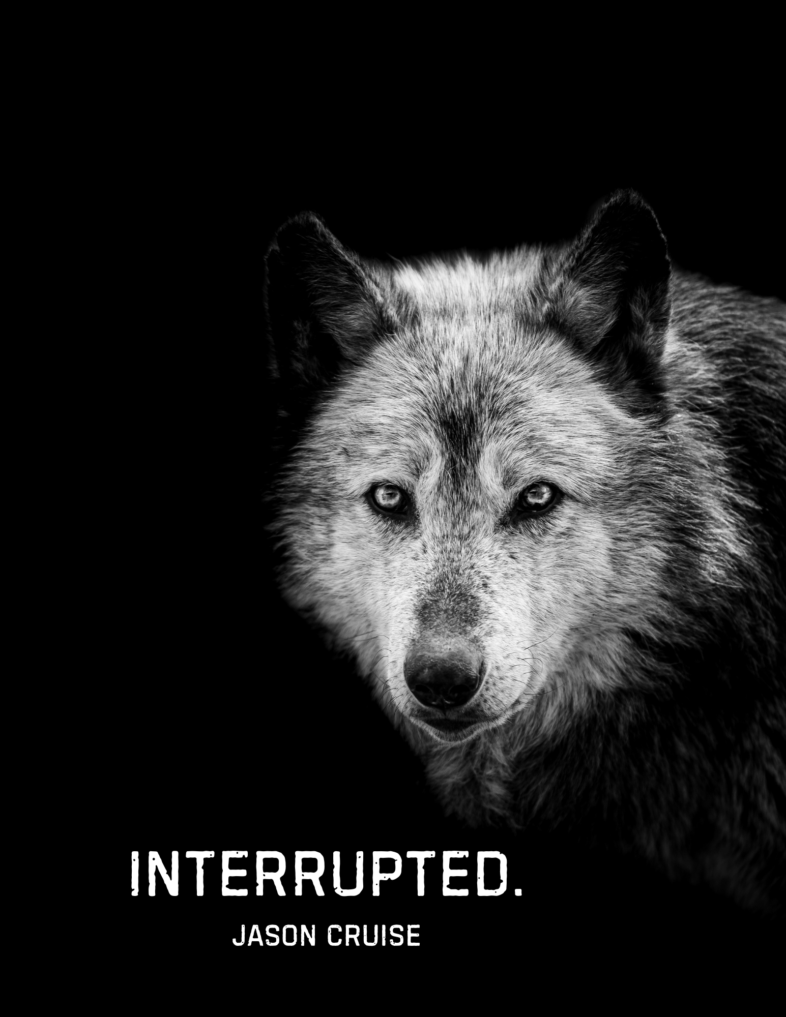 INTERRUPTED.COVER